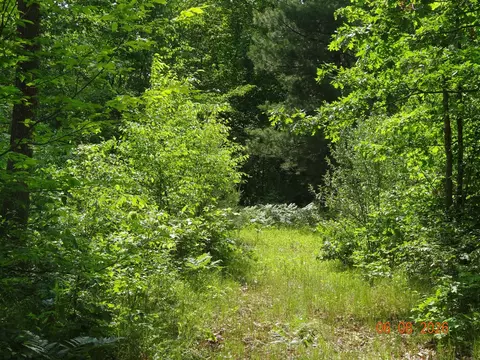 550 S Oak, White Cloud, MI 49349 photo 25