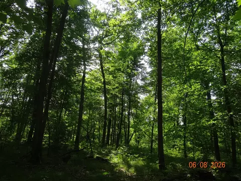 550 S Oak, White Cloud, MI 49349 photo 14