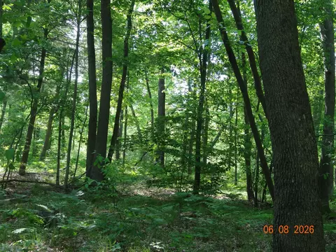 550 S Oak, White Cloud, MI 49349 photo 16