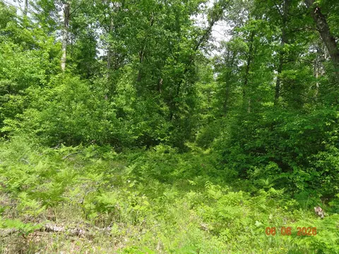 550 S Oak, White Cloud, MI 49349 photo 7