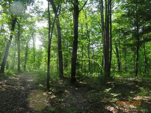 550 S Oak, White Cloud, MI 49349 photo 18