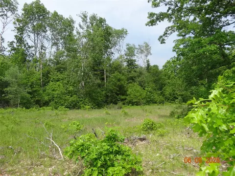 550 S Oak, White Cloud, MI 49349 photo 5