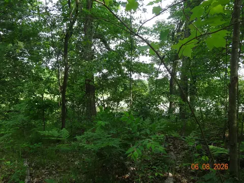 550 S Oak, White Cloud, MI 49349 photo 27