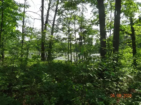 550 S Oak, White Cloud, MI 49349 photo 23