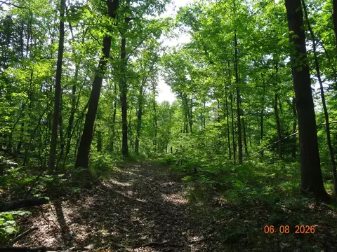 550 S Oak, White Cloud, MI 49349 photo 19
