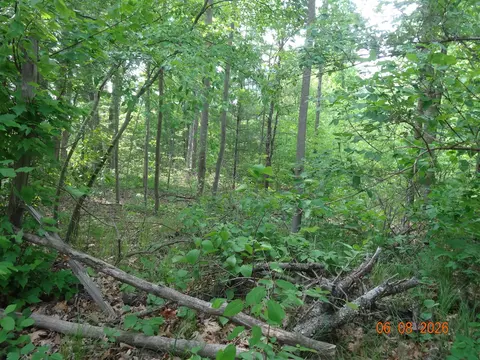550 S Oak, White Cloud, MI 49349 photo 26