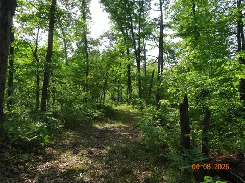 550 S Oak, White Cloud, MI 49349 photo 22