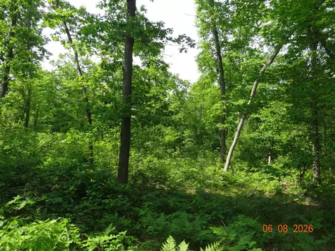 550 S Oak, White Cloud, MI 49349 photo 24