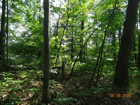 550 S Oak, White Cloud, MI 49349 photo 20