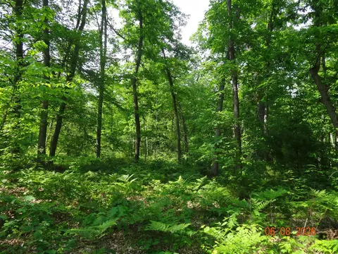 550 S Oak, White Cloud, MI 49349 photo 21