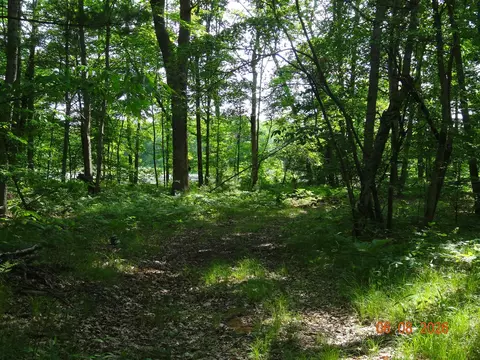 550 S Oak, White Cloud, MI 49349 photo 15