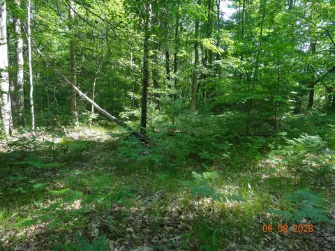 550 S Oak, White Cloud, MI 49349 photo 12