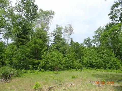 550 S Oak, White Cloud, MI 49349 photo 6