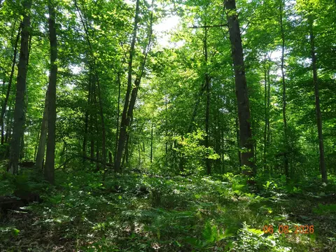 550 S Oak, White Cloud, MI 49349 photo 11