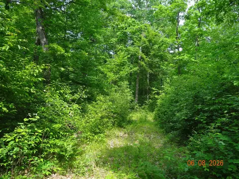 550 S Oak, White Cloud, MI 49349 photo 8