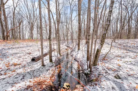 V/l N Hunters, White Cloud, MI 49349 photo 8