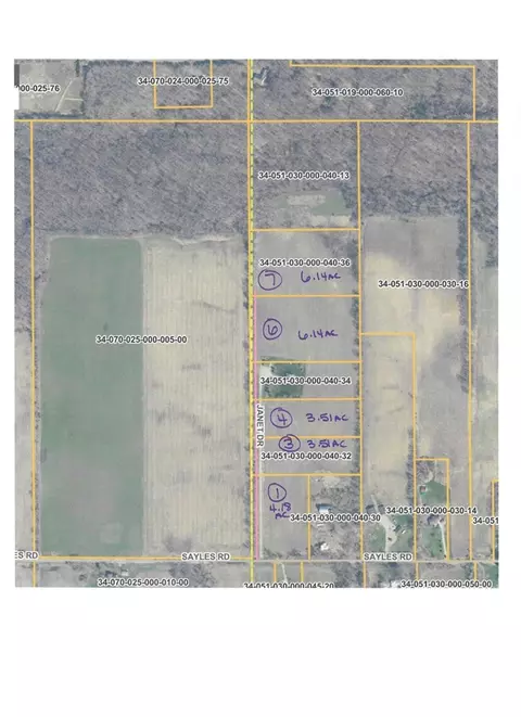 V/l Janet Dr Parcel 4, Saranac, MI 48881