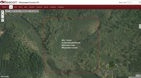 N Dorr, Merritt, MI 49667