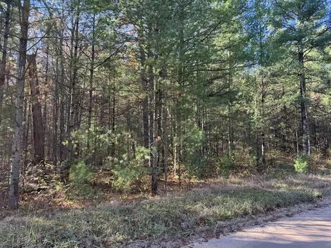 Parcel 1 County Line, Free Soil, MI 49411