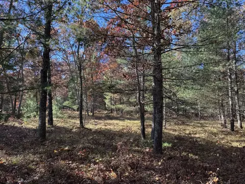 Parcel 3 County Line, Free Soil, MI 49411