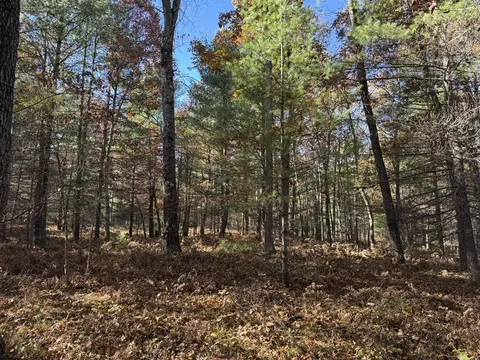 Parcel 2 County Line, Free Soil, MI 49411