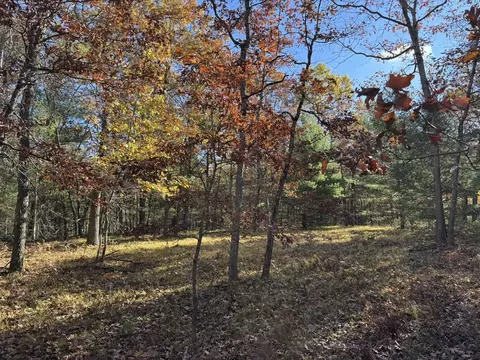 Parcel 4 County Line, Free Soil, MI 49411