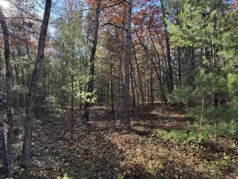 Parcel 5 County Line, Free Soil, MI 49411