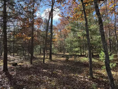Parcel 6 County Line, Free Soil, MI 49411