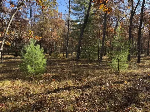 Parcel 7 County Line, Free Soil, MI 49411
