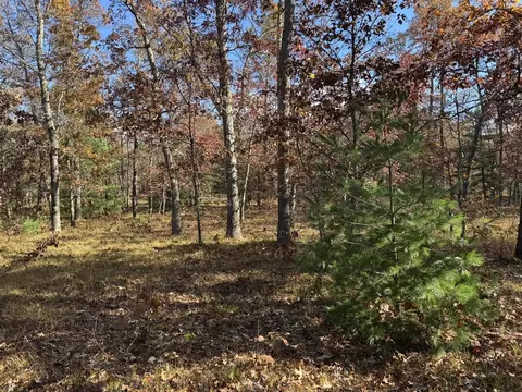 Parcel 9 County Line, Free Soil, MI 49411