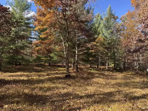 Parcel 12 County Line, Free Soil, MI 49411