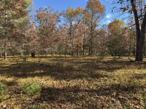 Parcel 11 County Line, Free Soil, MI 49411