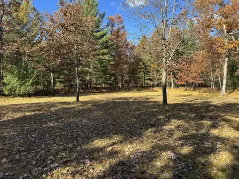 Parcel 13 County Line, Free Soil, MI 49411