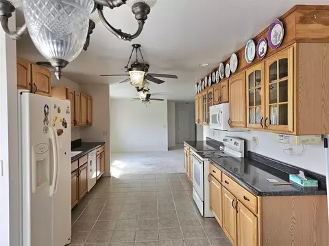 1001 Rierson, Bronson, MI 49028 photo 7