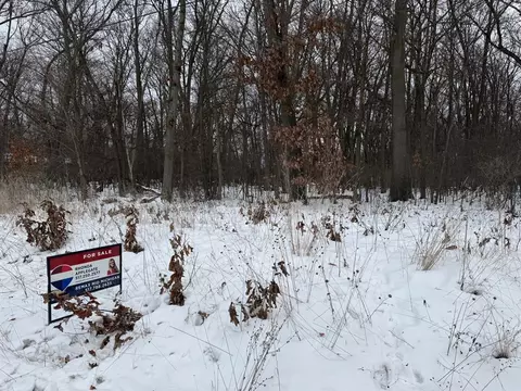 0 N Brown, Jackson, MI 49202