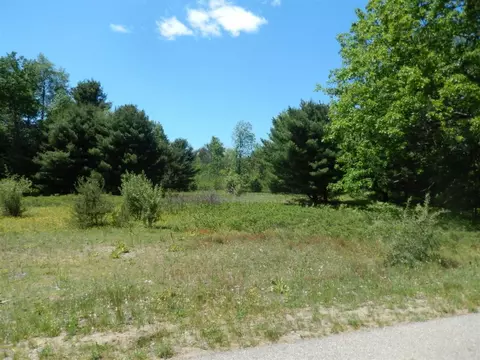 6265 Kilkenny, Canadian Lakes, MI 49346
