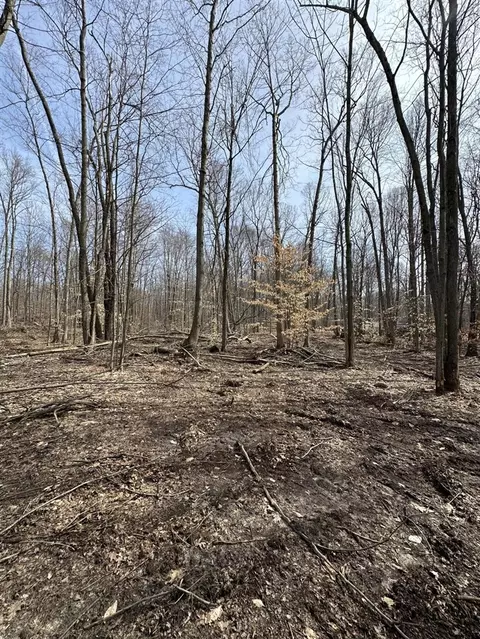 Vl Lake Drive, Allegan, MI 49010