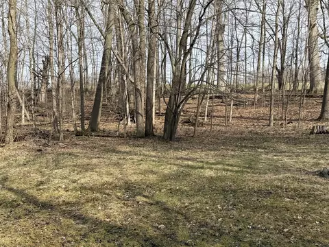 V/l 38th, Gobles, MI 49055 photo 26