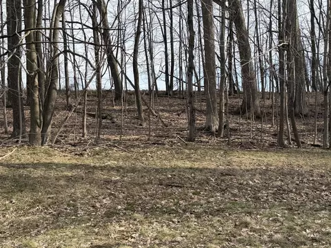 V/l 38th, Gobles, MI 49055 photo 25