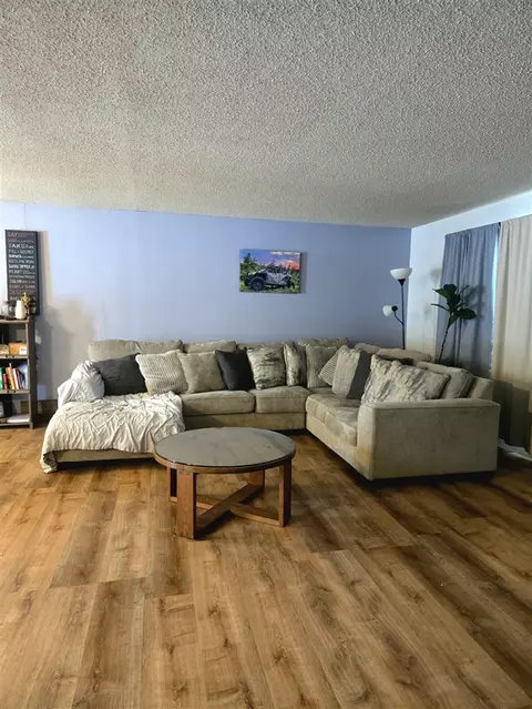 7887 Randolph, Vanderbilt, MI 49795 photo 5