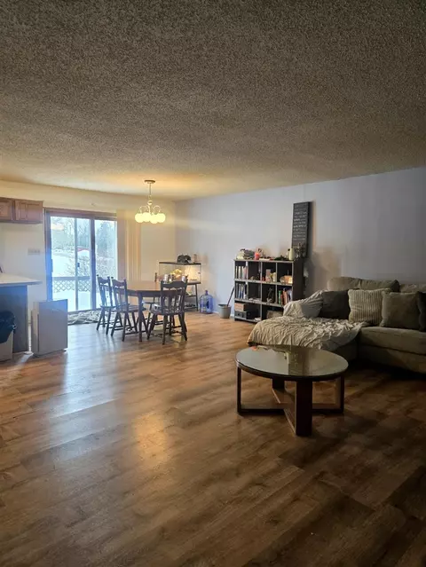 7887 Randolph, Vanderbilt, MI 49795 photo 3