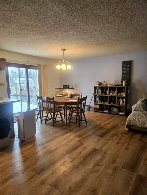 7887 Randolph, Vanderbilt, MI 49795 photo 4