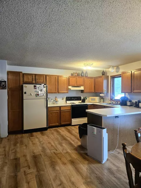 7887 Randolph, Vanderbilt, MI 49795 photo 11