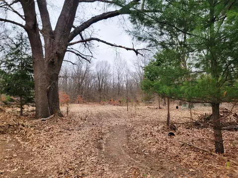 1217 58th, Pullman, MI 49450 photo 5