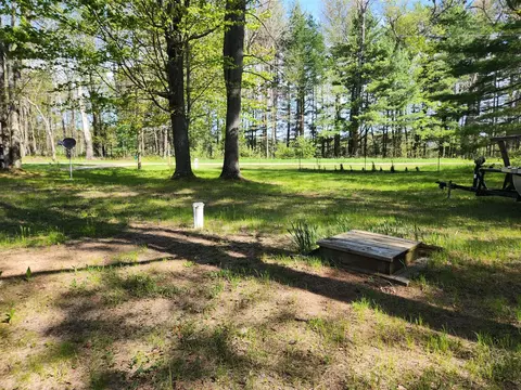 Exterior - 1041 Wolf Lk, Baldwin, MI 49304 photo 3 of 9