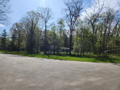 Exterior - 1041 Wolf Lk, Baldwin, MI 49304 photo 5 of 9