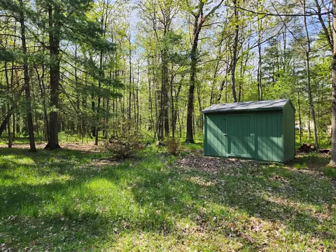 Exterior - 1041 Wolf Lk, Baldwin, MI 49304 photo 6 of 9