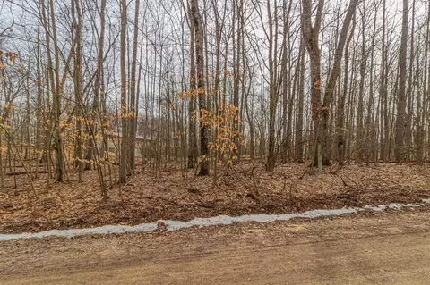 10082 Sante Fe # 94, Canadian Lakes, MI 49346