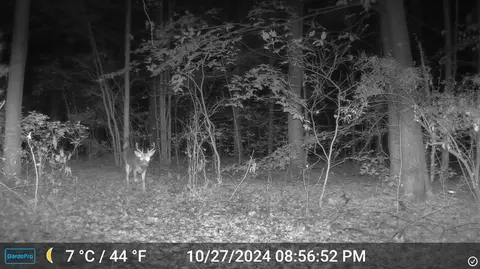 0 E 56th, Newaygo, MI 49337 photo 9