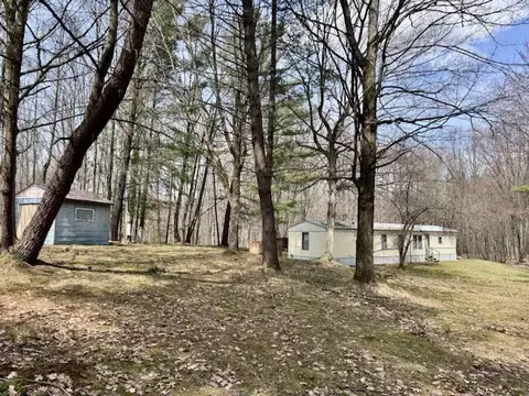40 Acres 48th, Chase, MI 49623